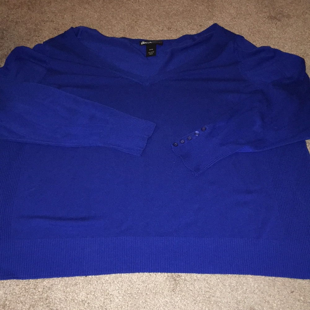 COPY - Lane Bryant v neck sweater